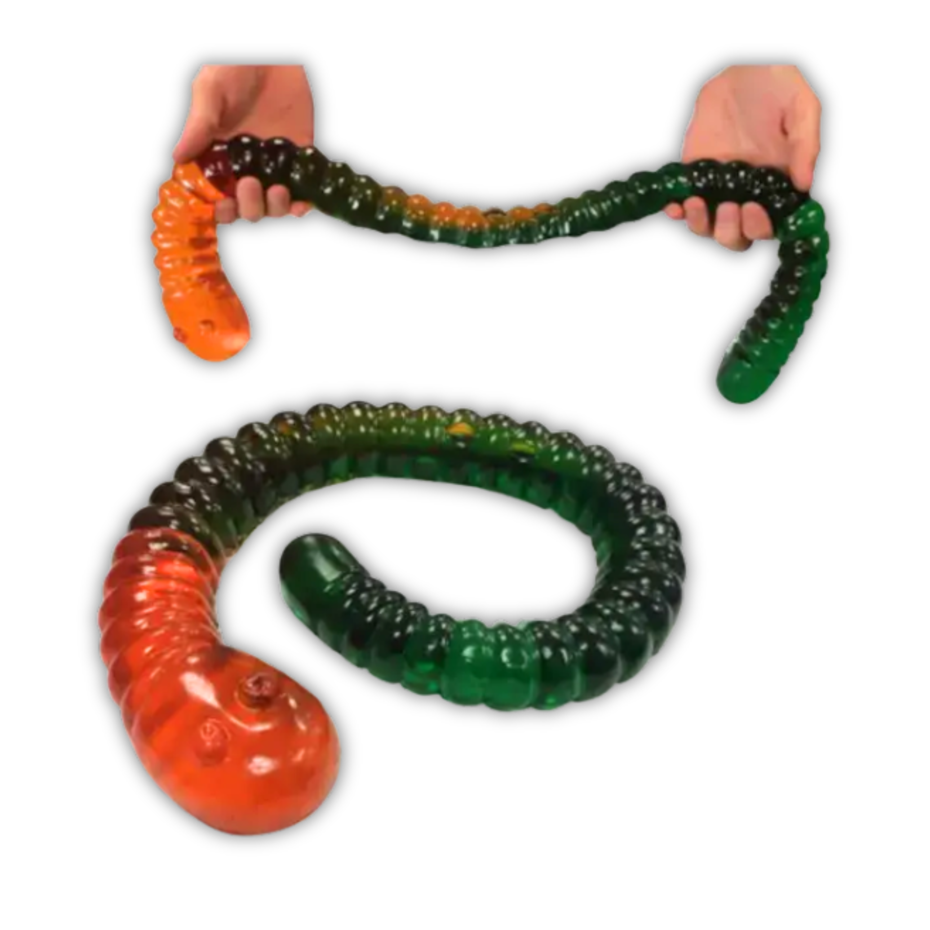 Giant Worm Attack Box 800g