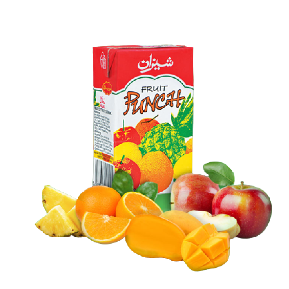 Shezan Fruit Punch Juice 250ml